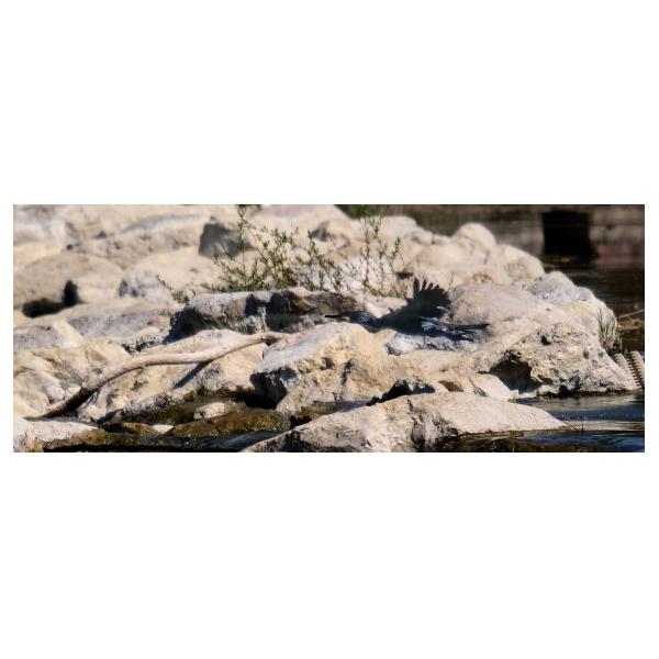 PHOTO84, CLUB, 84 , LUBERON